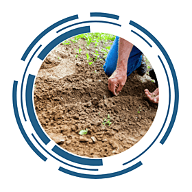 A man's hands gathering some soil from the ground. The image is framed by a circular, futuristic design.